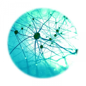 home_nerve_system Be Alive Physiotherapy - Get In Touch With Your Body